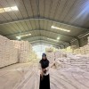 0206068604 Fitriani